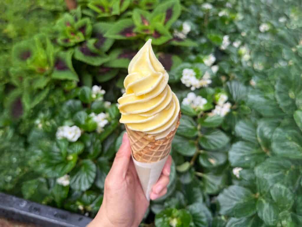 Butter Vanilla Soft Serve